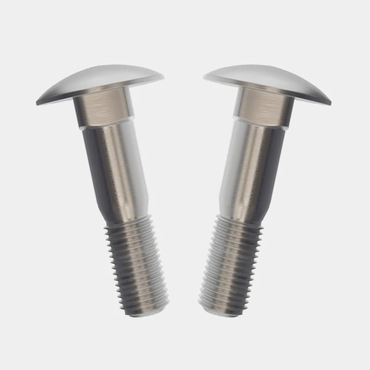 SS Carriage Bolts